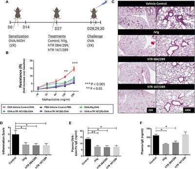 Tregitopes Improve Asthma by Promoting Highly Suppressive and Antigen-Specific Tregs